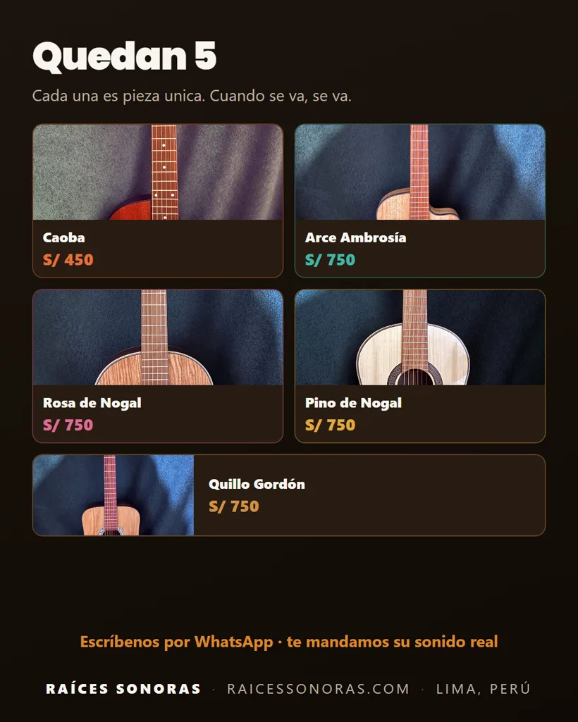 Pieza 1 de la campaña de Raíces Sonoras