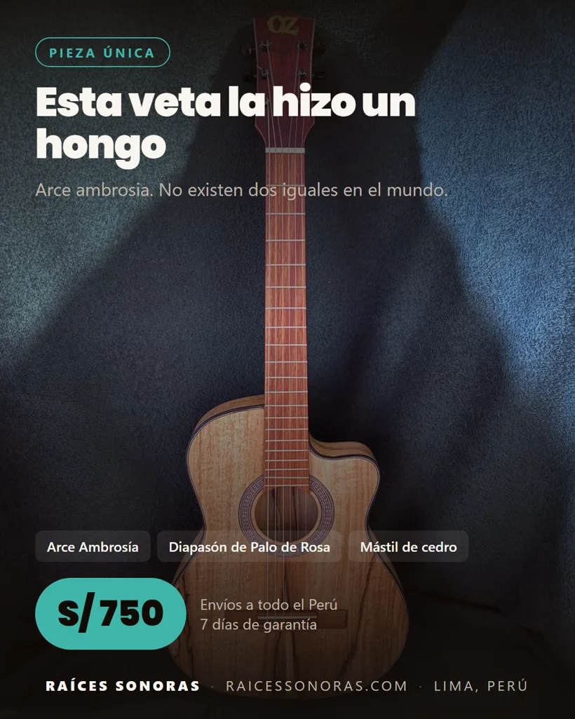 Pieza 3 de la campaña de Raíces Sonoras
