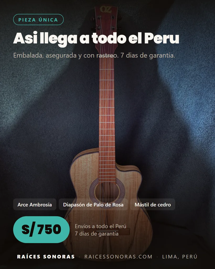Pieza 13 de la campaña de Raíces Sonoras
