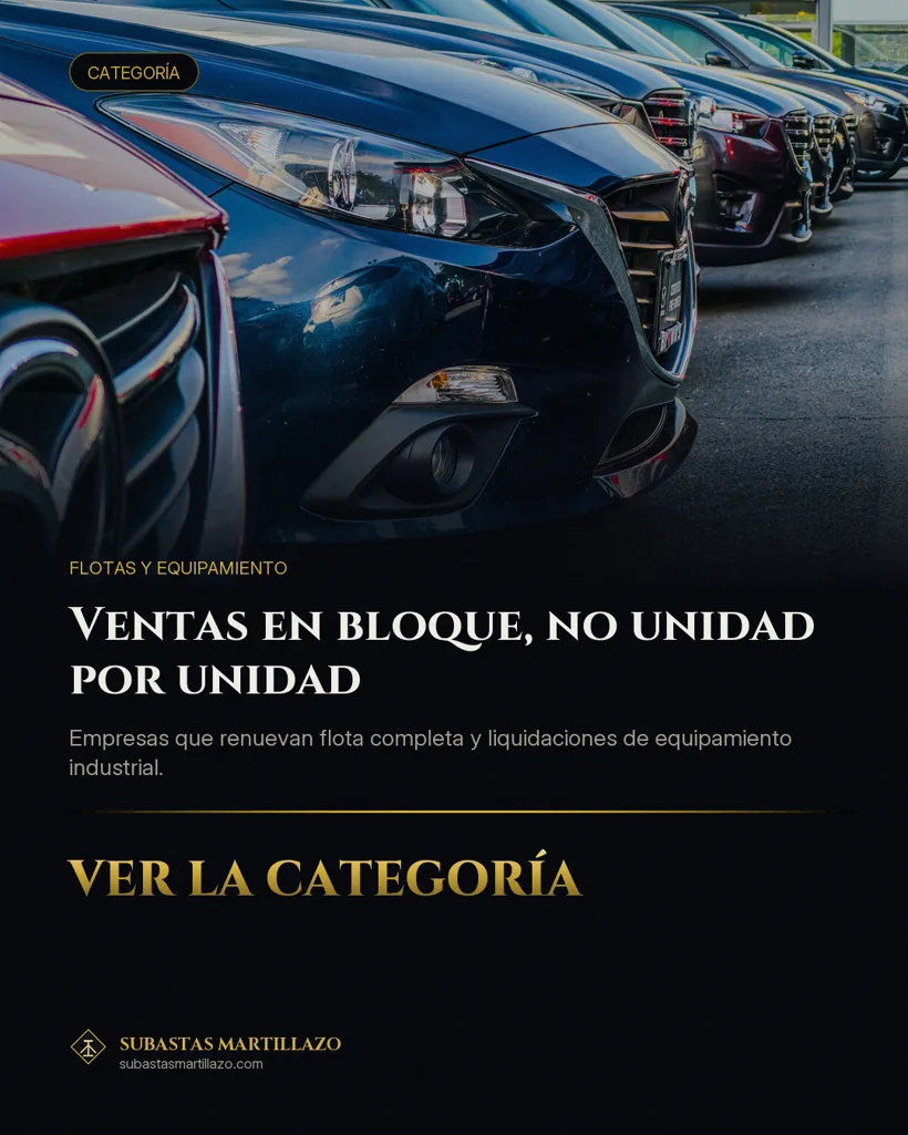 Pieza 13 de la campaña de Subastas Martillazo